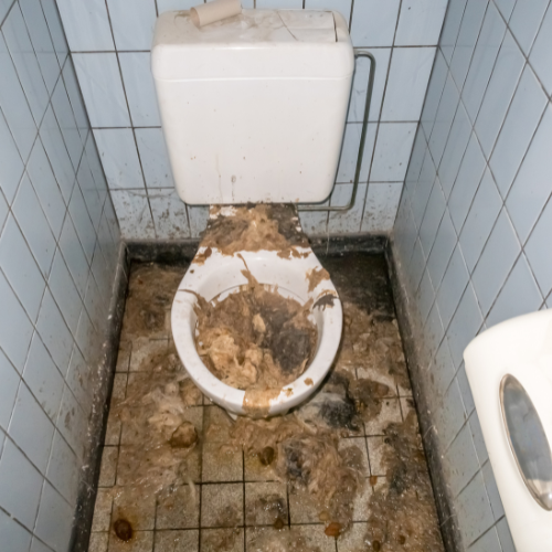 Toilette bouchée: comment déboucher une toilette et prix d'un